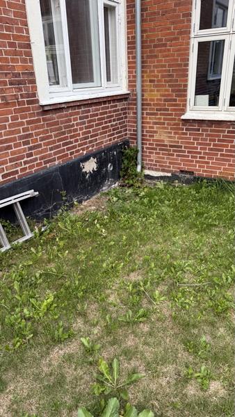 Murerarbejde og maling af facade