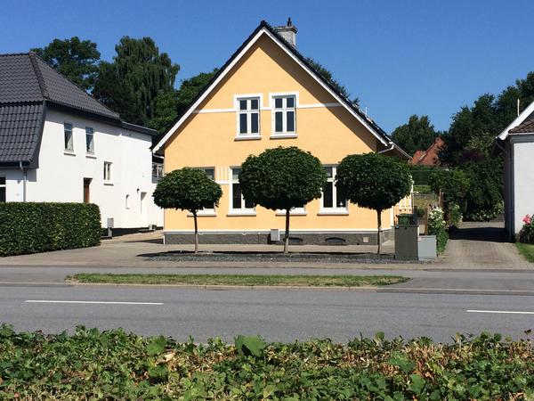 Beskæring af træer