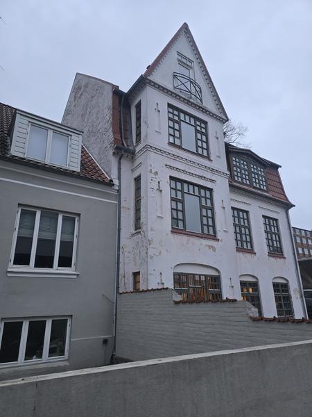 Afrensning og netpudsning af facade