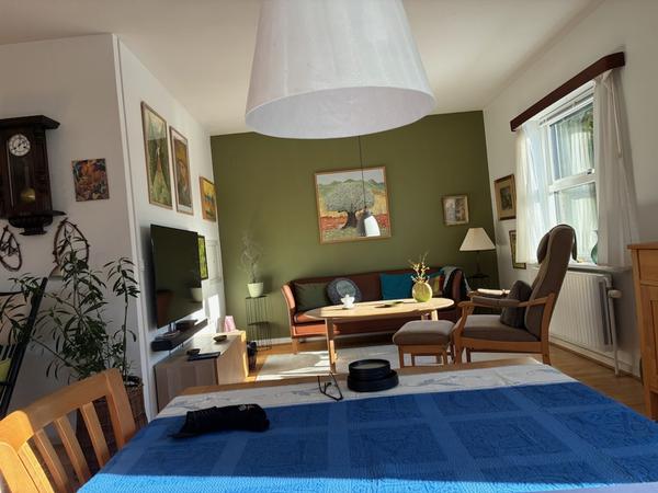 Etablering af skillevæg med dør og isolering