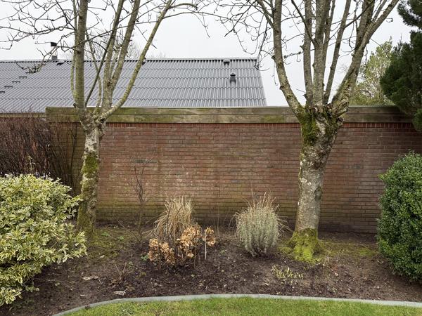 Træfældning af træer