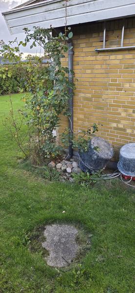 Etablering af faskine og tilslutning af nedløbsrør