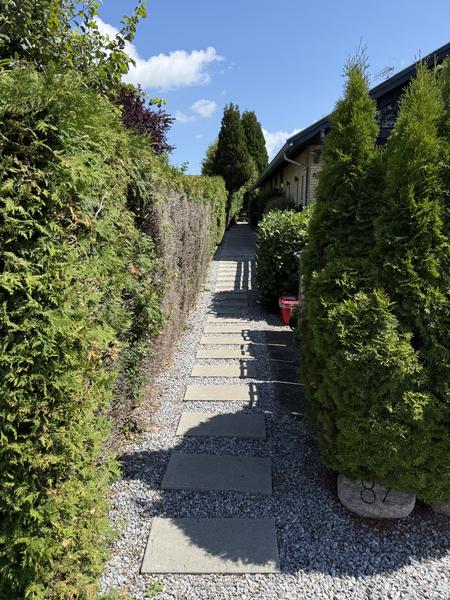 Ny indkørsel og gangareal med fliser