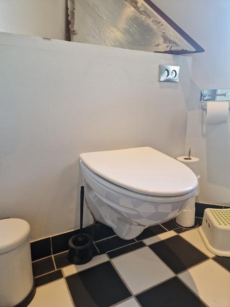 Udskiftning af væghængt toilet