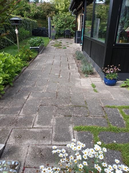 Udskiftning af betonfliser