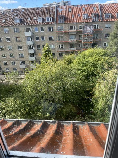 Etablering af tagaltan