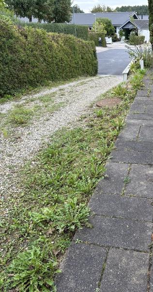 Etablering af flisebelægning i indkørsel
