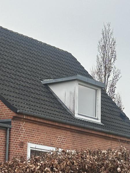 Reparation eller udskiftning af tagkvist og fuger