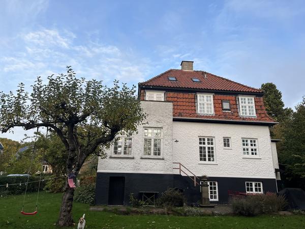 Udskift af tegltag
