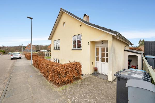 Maling af hus og garageport