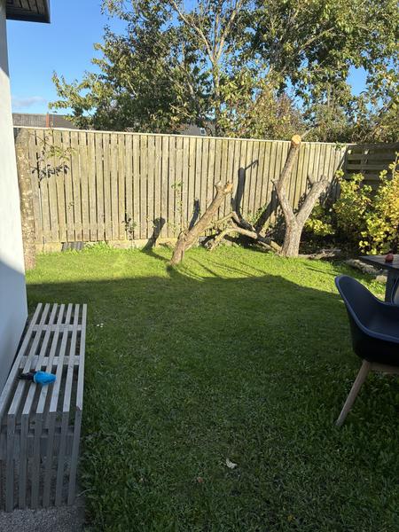 Ny indkørsel, terrasse og fliser
