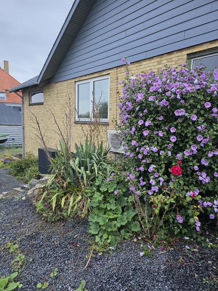 Udvendig isolering af hus