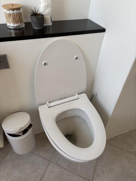 Udskiftning af væghængt toilet