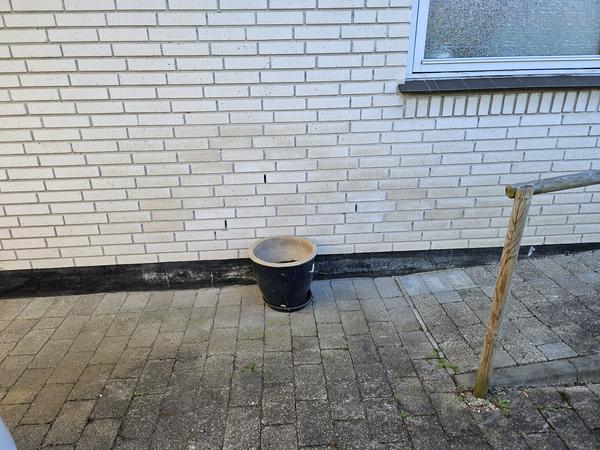 Vandskade og skimmelsanering på badeværelse