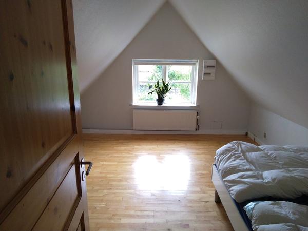 Loft til kip og montering af ovenlysvinduer