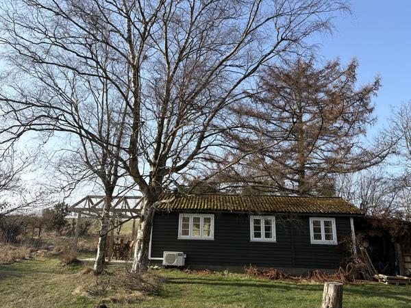 Nedtagning og fjernelse af asbesttag