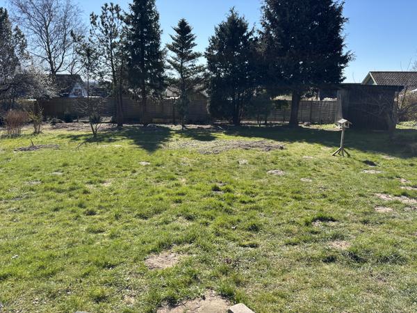 Fræsning og udjævning af græsplæne