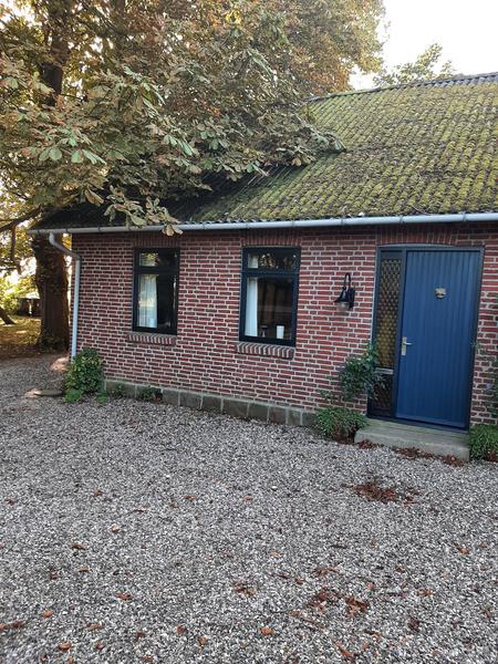 Træfældning af træ