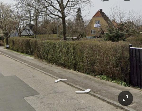 Fjernelse af hæk og opsætning af hegn