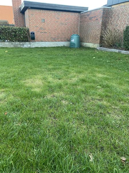 Udjævning af græsplane