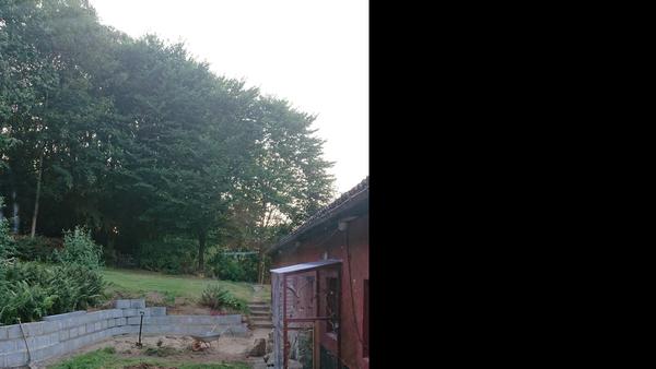 Etablering af træterrasse
