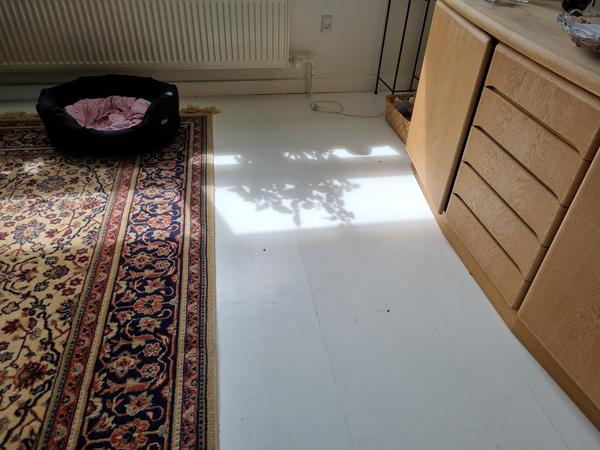 Slibning og høvling af malet gulv