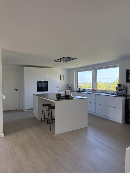 Etablering af loft til kip i fællesrum