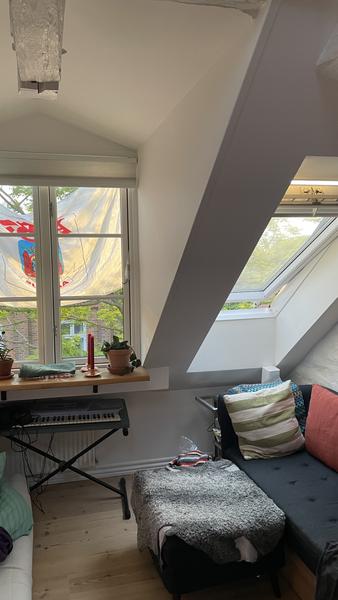 Etablering af kvistaltan