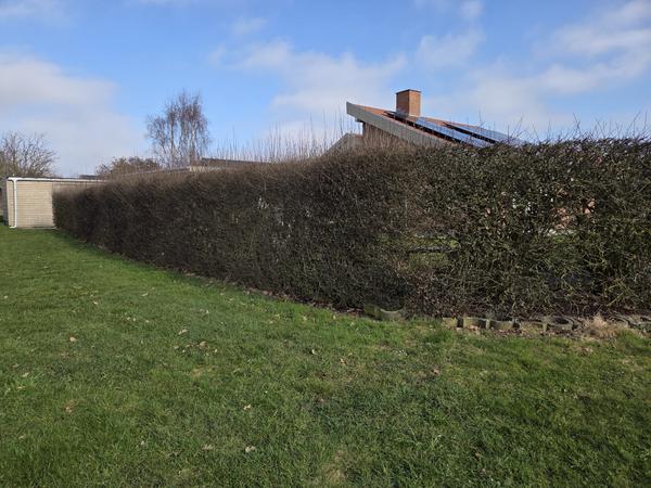 Opsætning af komposithegn