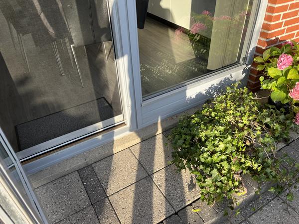 Afslibning og maling af vinduer og dør