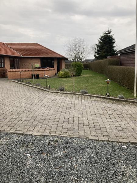 Fældning af træer