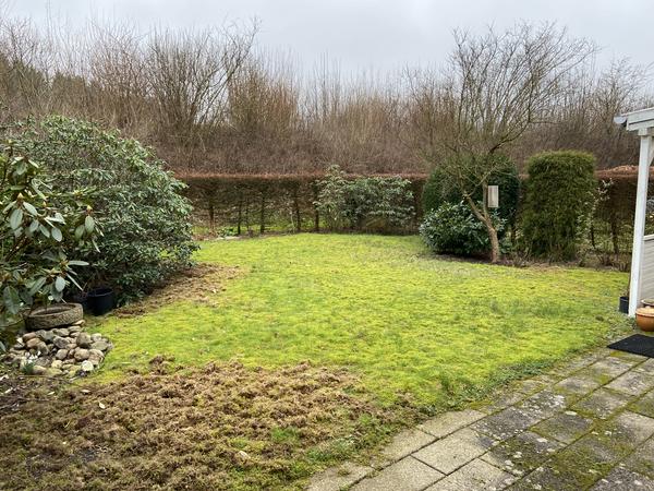 Fældning af træer, rullegræs m.m