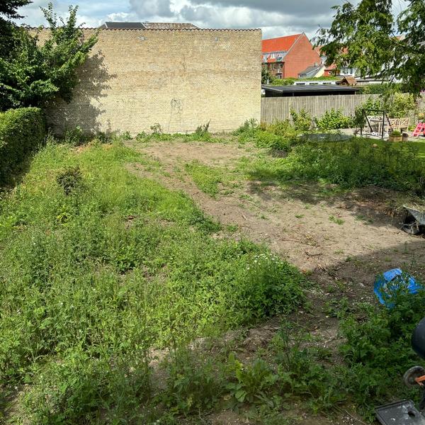 Lave græsplæne på 270 m2 og grave ud til trampolin