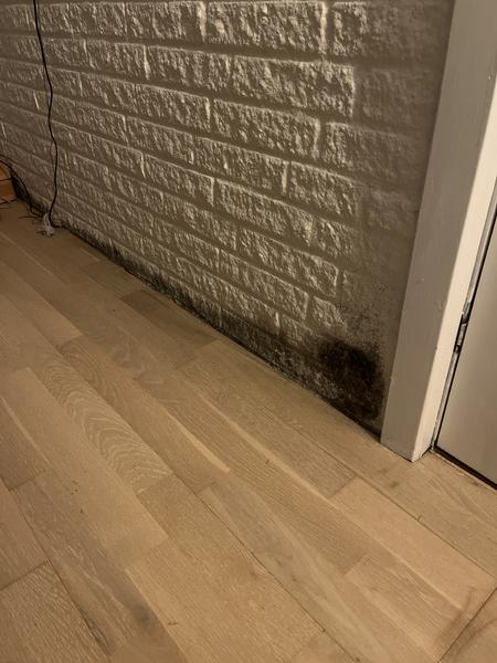 Udbedring af væg efter skimmel