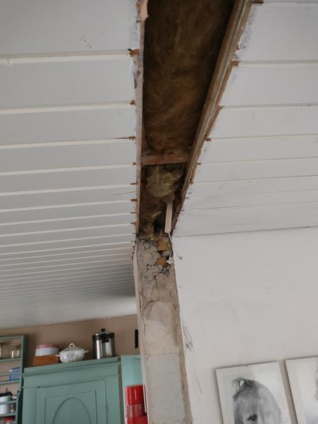 Renovering af køkken/stue & opførsel af tilbygning