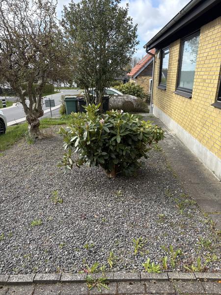 Etablering af ny indkørsel