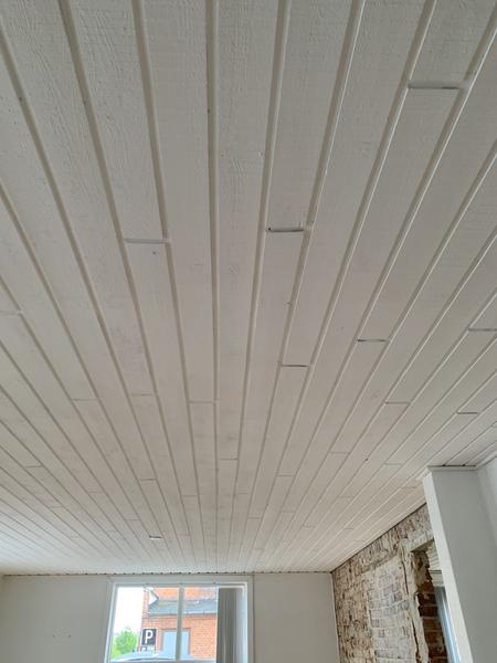 Udskiftning af loft