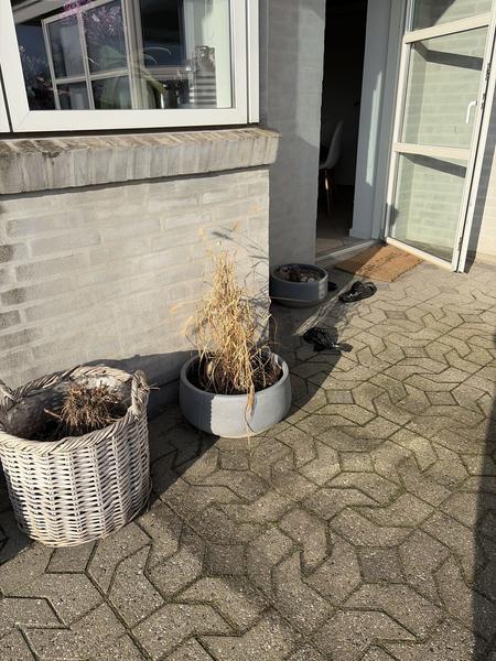 Etablering af træterrasse