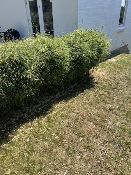 Etablering af belægning med trappe