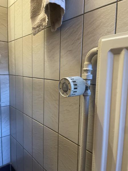 Udskiftning af ventiler og termostater
