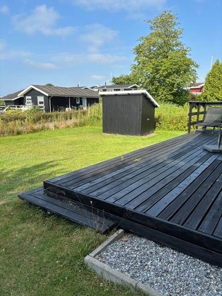Ny potentilla-hæk