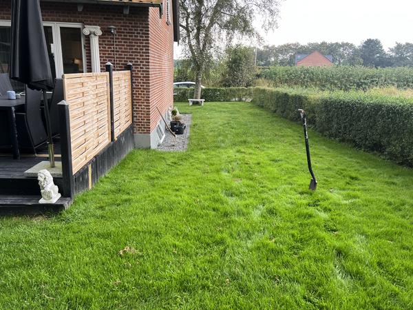 Etablering af terrasse