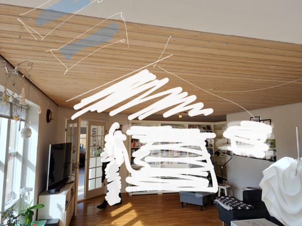 Etablering af loft til kip