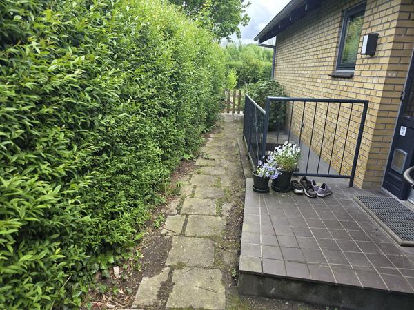 Ny flisebelægning