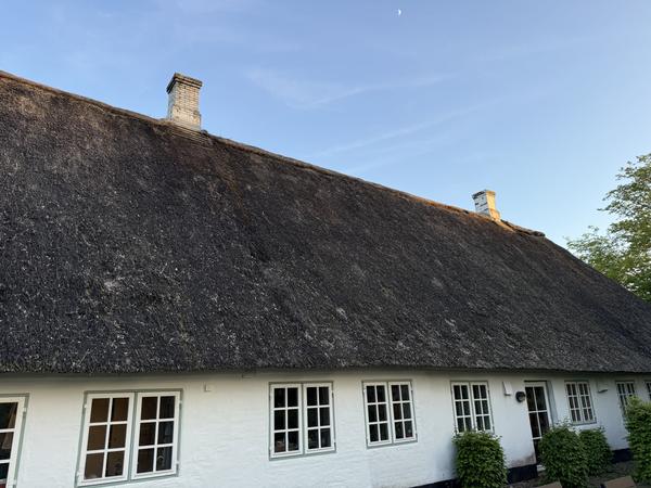 Rensning, pudsning og maling af 2 skorstene