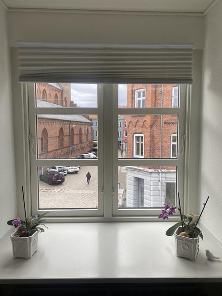 Udskiftning af 5 vinduer