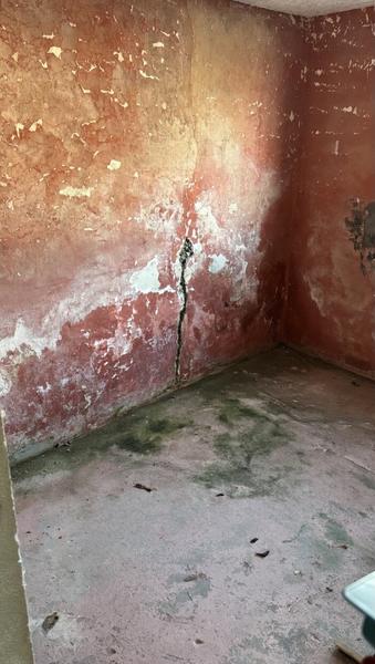 Fugtbekæmpelse i kælder