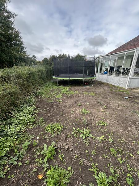 Etablering af sået græsplæne