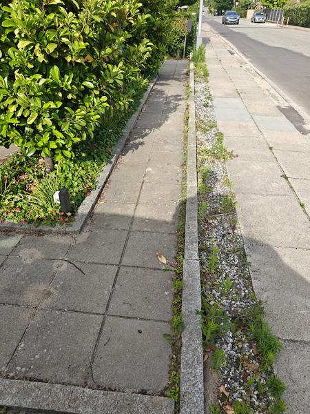 Etablering af planke hegn med låger