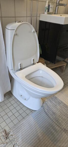 Udskiftning af toilet og vaskeskab